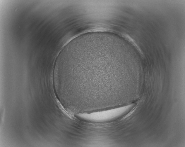 X0000070221417200606091638