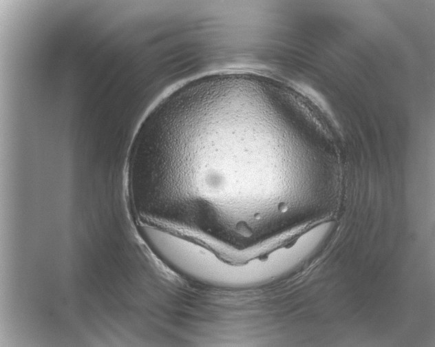 X0000070221420200606091638