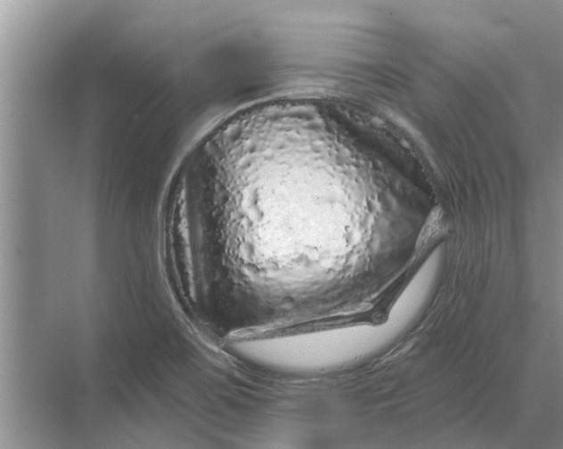 X0000070221467200606091638
