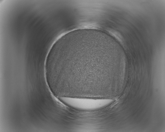 X0000070221471200606091637