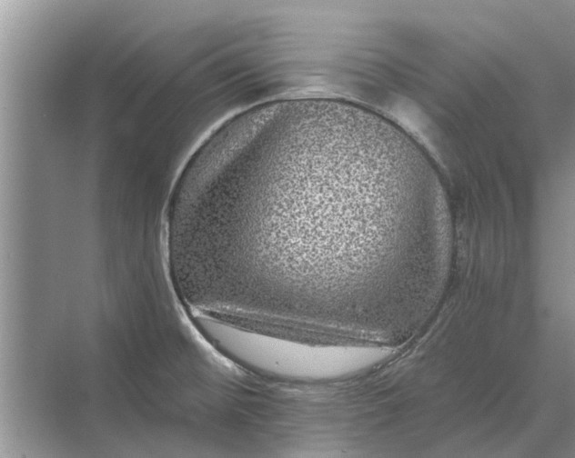 X0000070221476200606091637
