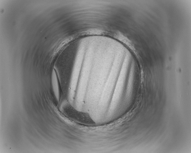 X0000070220013200606161719