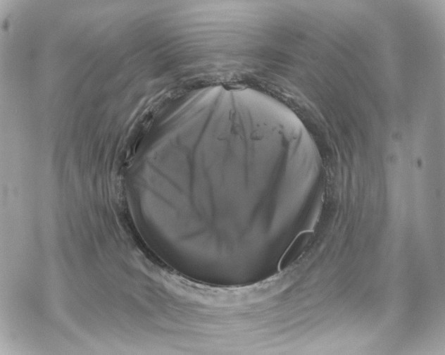 X0000070220035200606161718