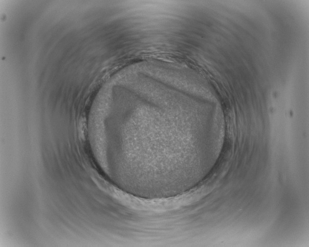 X0000070220038200606161718