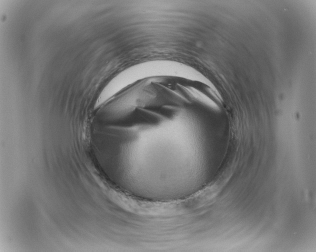 X0000070220044200606161718