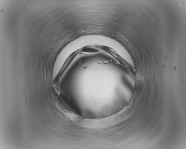 X0000070220045200606161718