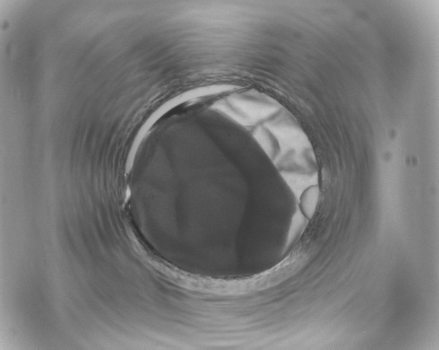 X0000070220048200606161718