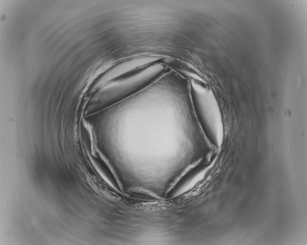 X0000070220050200606161717