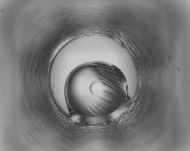 X0000070220052200606161717