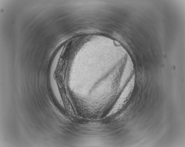 X0000070220063200606161718