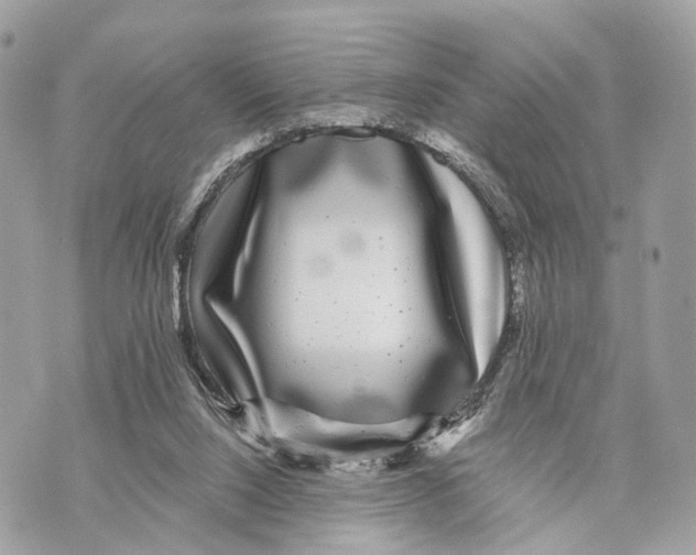 X0000070220064200606161718