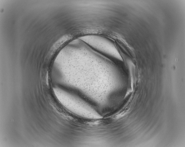 X0000070220068200606161718
