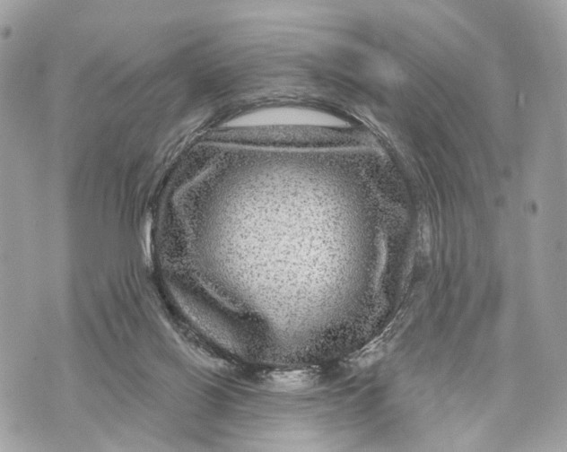 X0000070220070200606161718