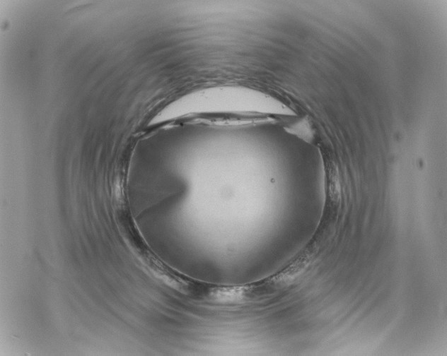 X0000070220084200606161718