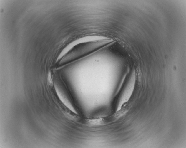 X0000070220089200606161718