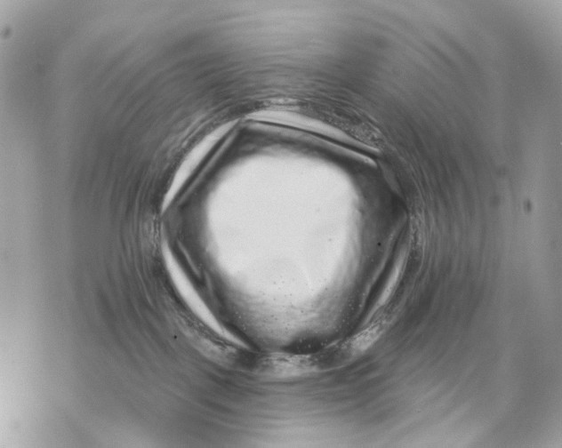 X0000070220093200606161718