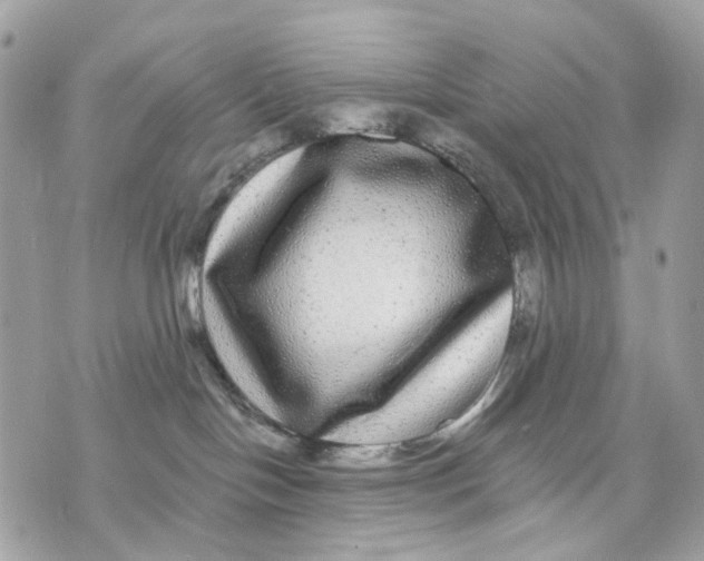X0000070220094200606161718