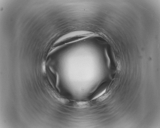 X0000070220095200606161718