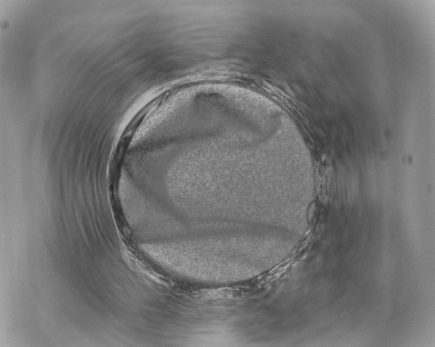 X0000070220100200606161717