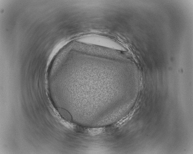 X0000070220102200606161717