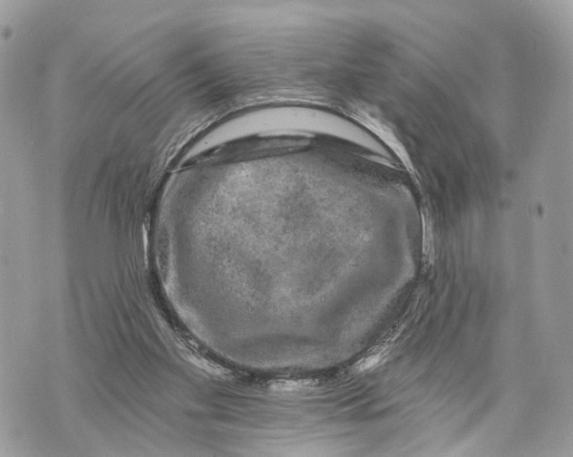 X0000070220109200606161717