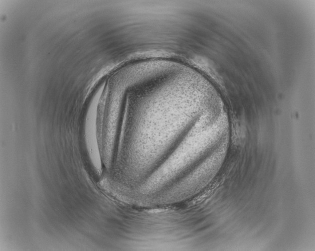 X0000070220111200606161717