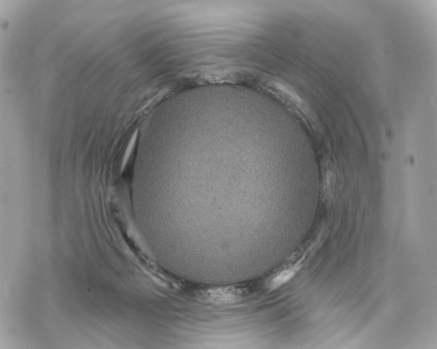 X0000070220121200606161717