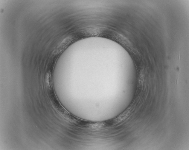 X0000070220122200606161717
