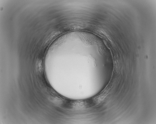 X0000070220123200606161717