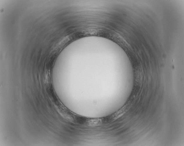 X0000070220126200606161717