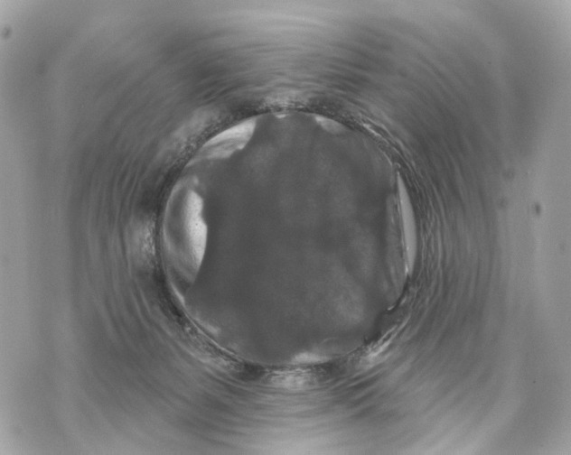 X0000070220127200606161717