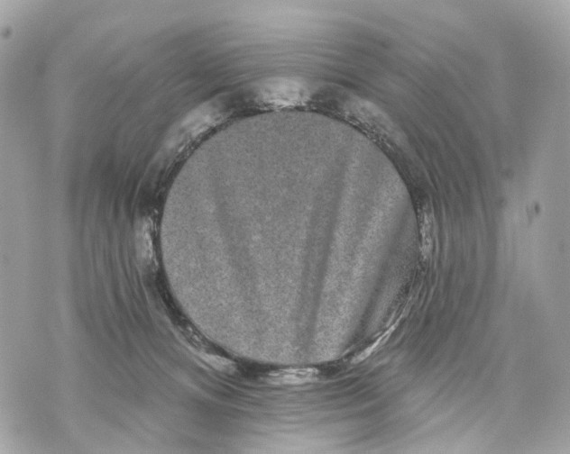X0000070220128200606161717