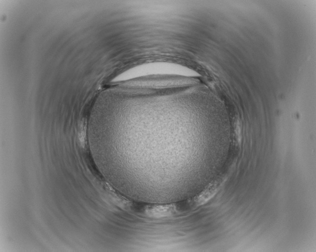 X0000070220129200606161717