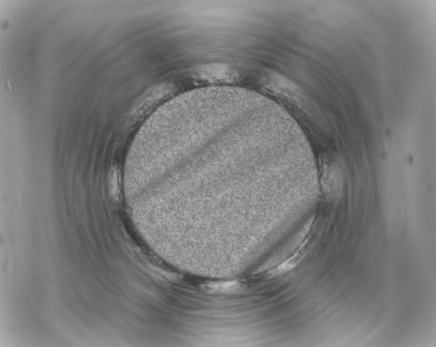 X0000070220132200606161717