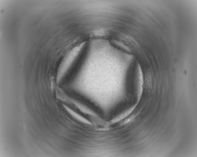 X0000070220135200606161717