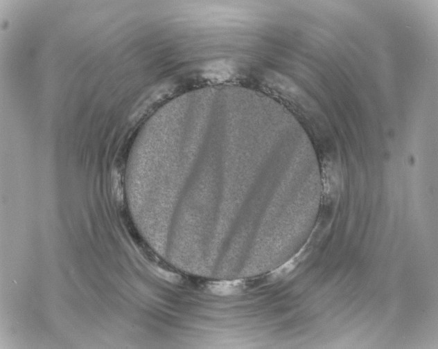 X0000070220136200606161717