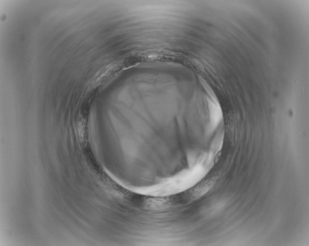 X0000070220139200606161717