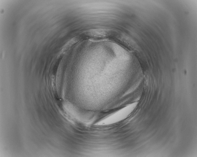 X0000070220141200606161717