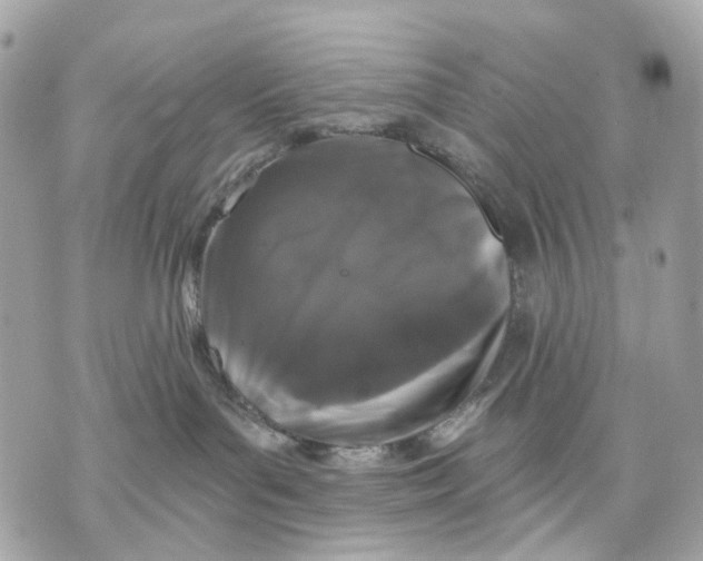 X0000070220143200606161717