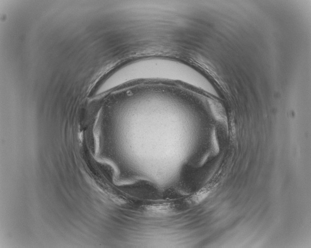 X0000070220164200606161716