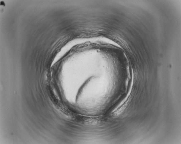 X0000070220166200606161716