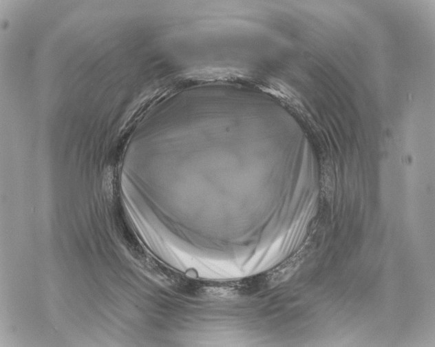 X0000070220167200606161716