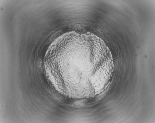 X0000070220178200606161716