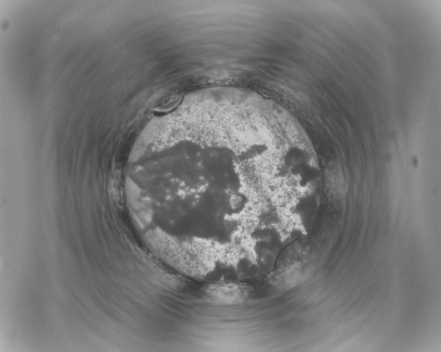 X0000070220181200606161716