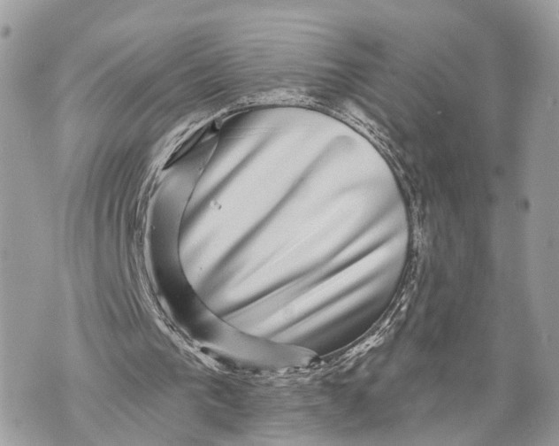 X0000070220193200606161716