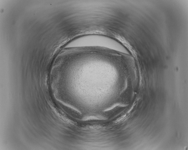 X0000070220201200606161715