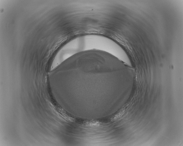 X0000070220206200606161715