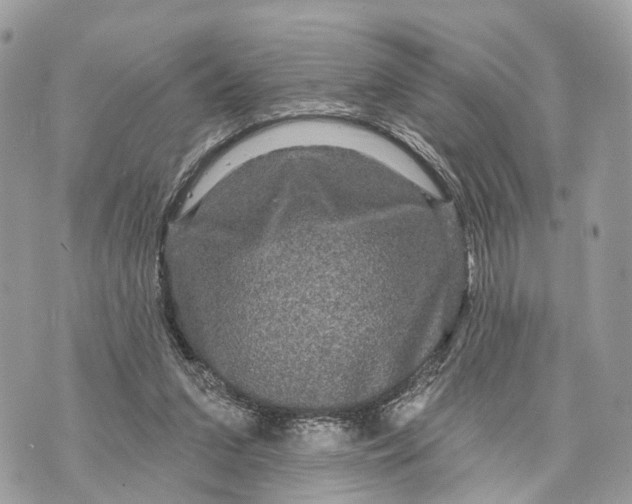 X0000070220207200606161715