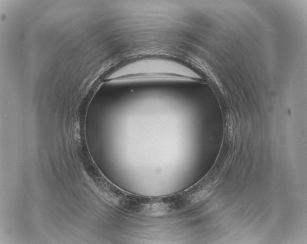 X0000070220212200606161715