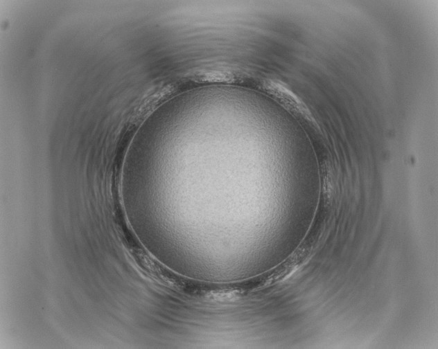 X0000070220213200606161715